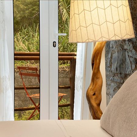 فيلا King Shelter By Madeira Sun Travel بورتو مونيز المظهر الخارجي الصورة